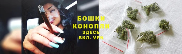не бодяженный Бородино