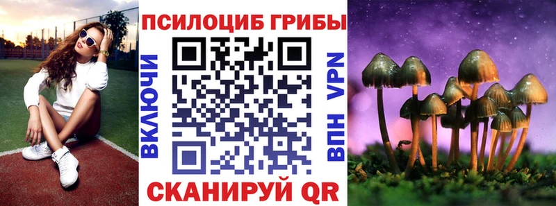 наркота  Новоузенск  Псилоцибиновые грибы мухоморы 